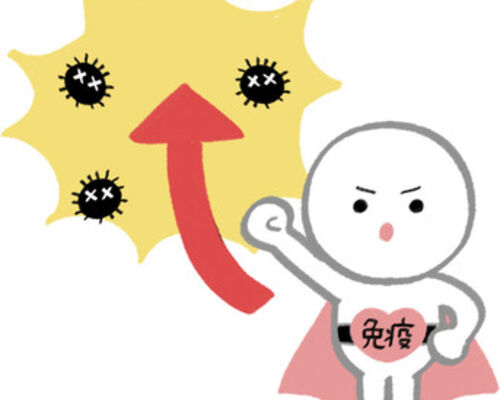 免疫
