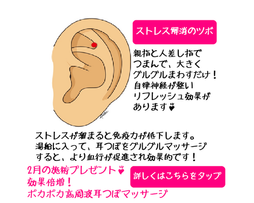 耳つぼ